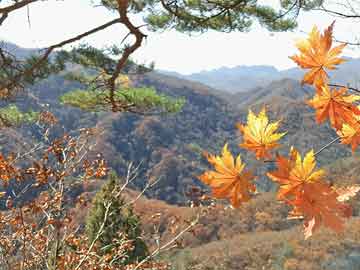 临汾打胎药询问医生（打胎药医院给开吗）